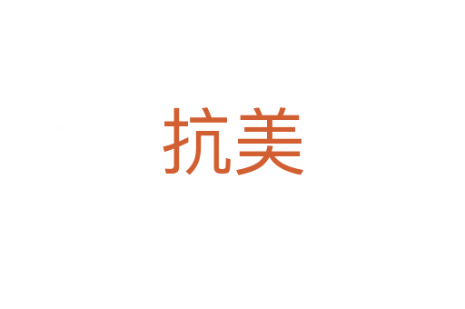 抗美