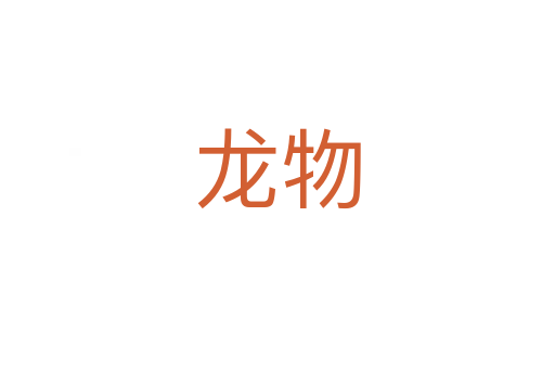 龙物